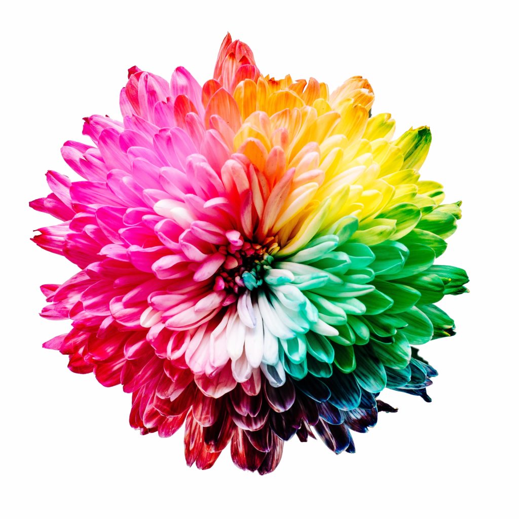 What You Need to Know About Color-Coding - amindfulmethod.com